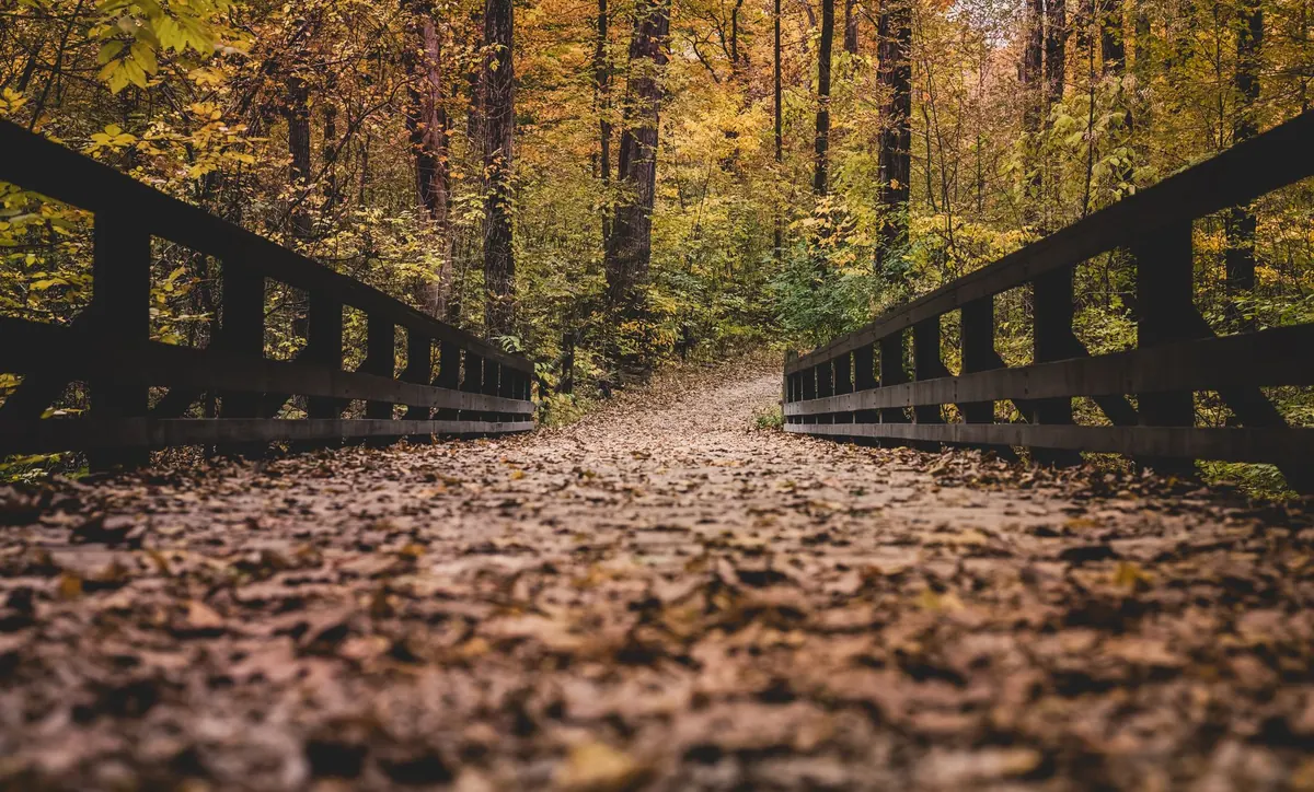 Fall in Oakley: Best Parks and Trails for Leaf-Peeping and Family Photos